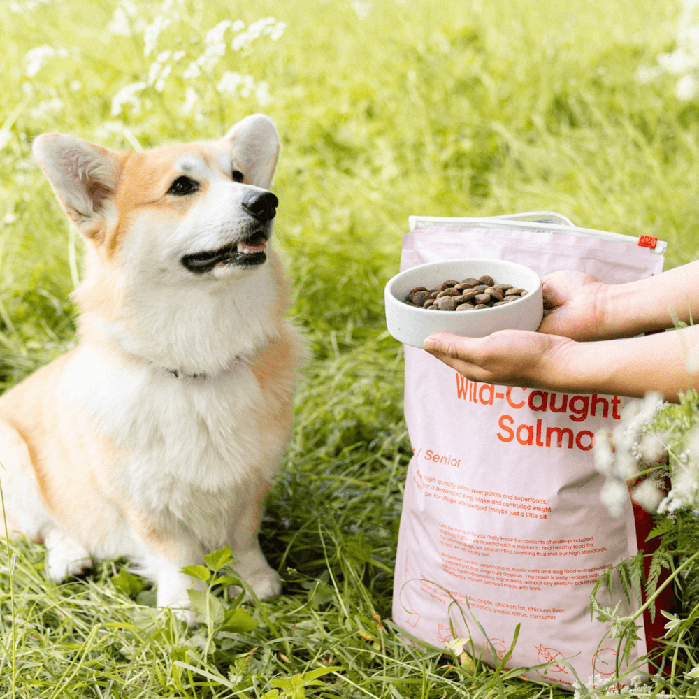  Wild Caught Salmon kuivaruoka, 12 kg, view: 2