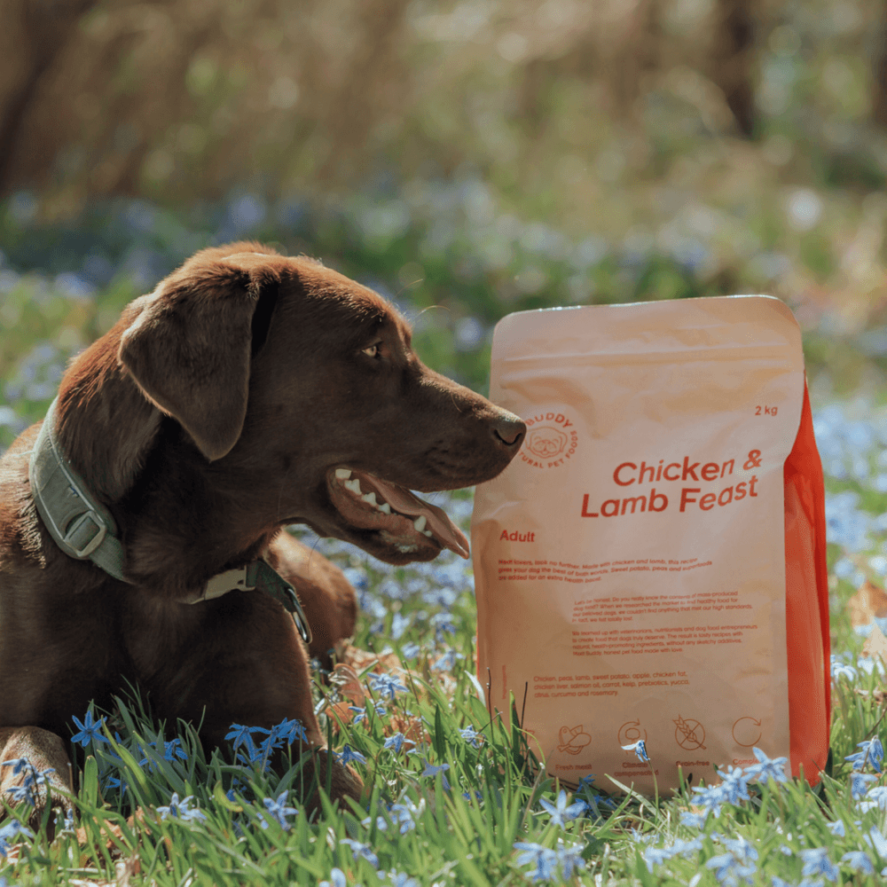  Chicken & Lamb Feast kuivaruoka, 12 kg, view: 2