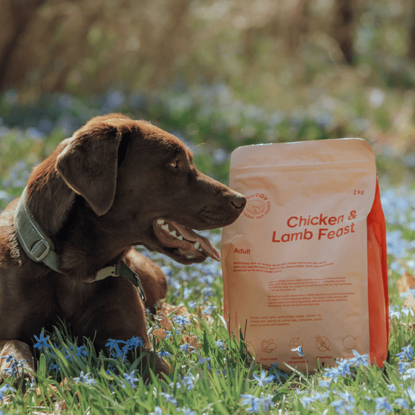  Chicken & Lamb Feast kuivaruoka, 12 kg, view: 2