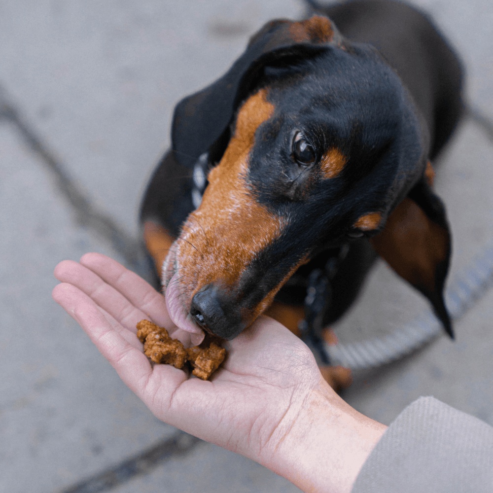  Beef Training Snackn koiran makupalat, 1 kg, view: 3