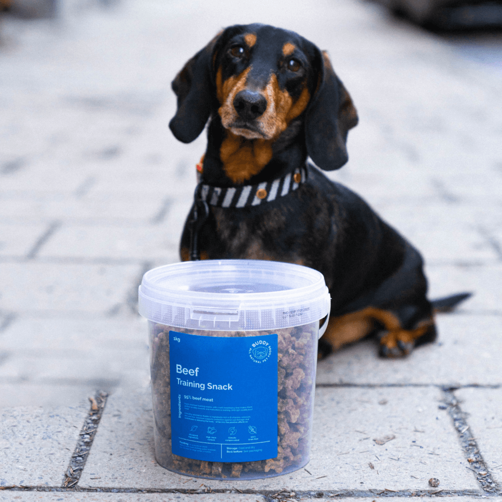  Beef Training Snackn koiran makupalat, 1 kg, view: 1