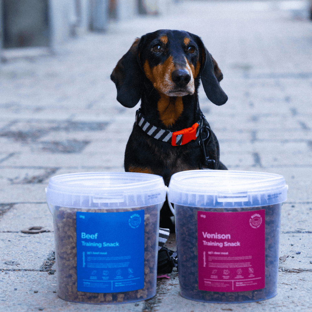  Venison Training Snack makupala, 1 kg, view: 3