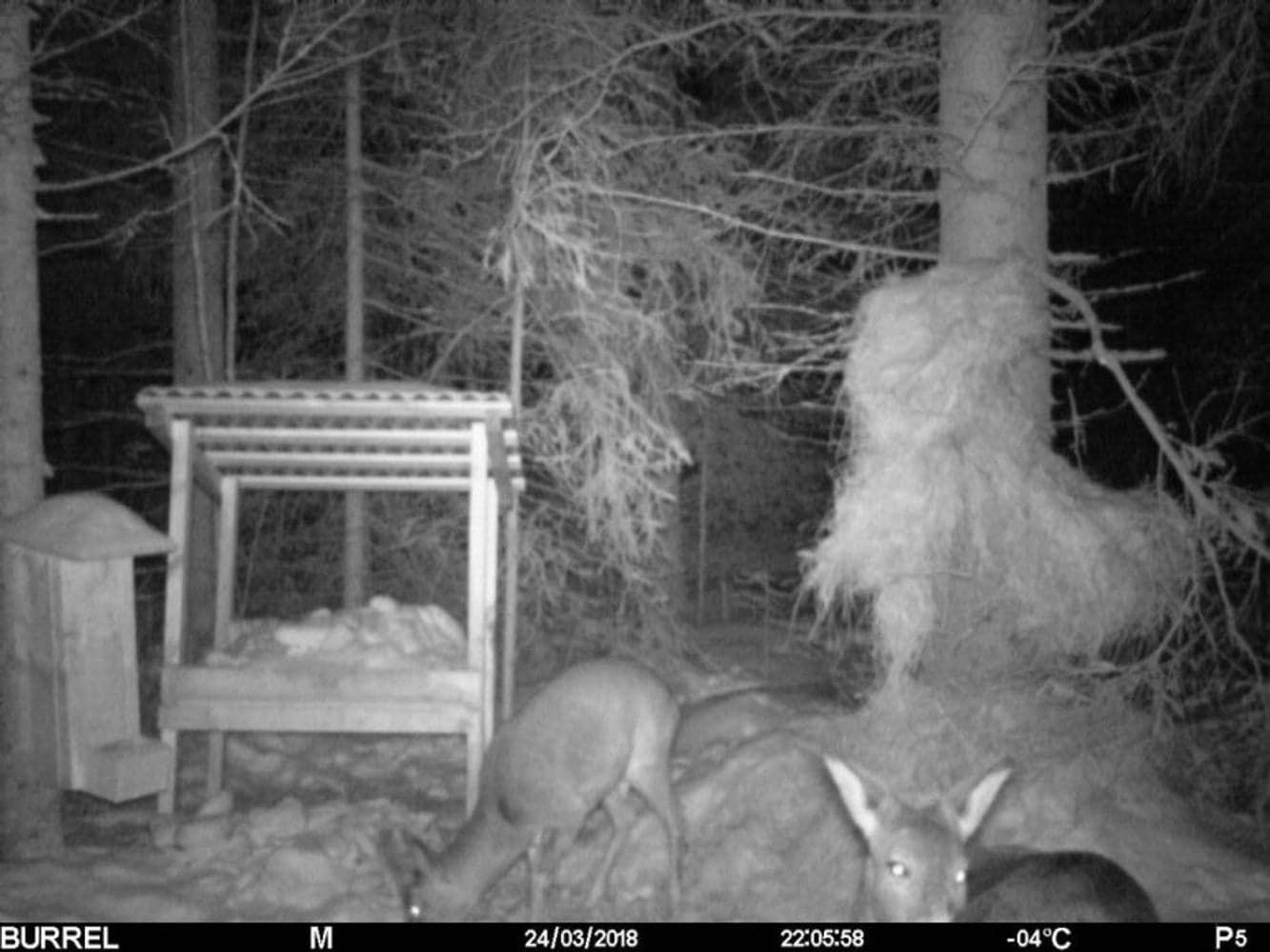 Edge HD -riistakamera, view: 4