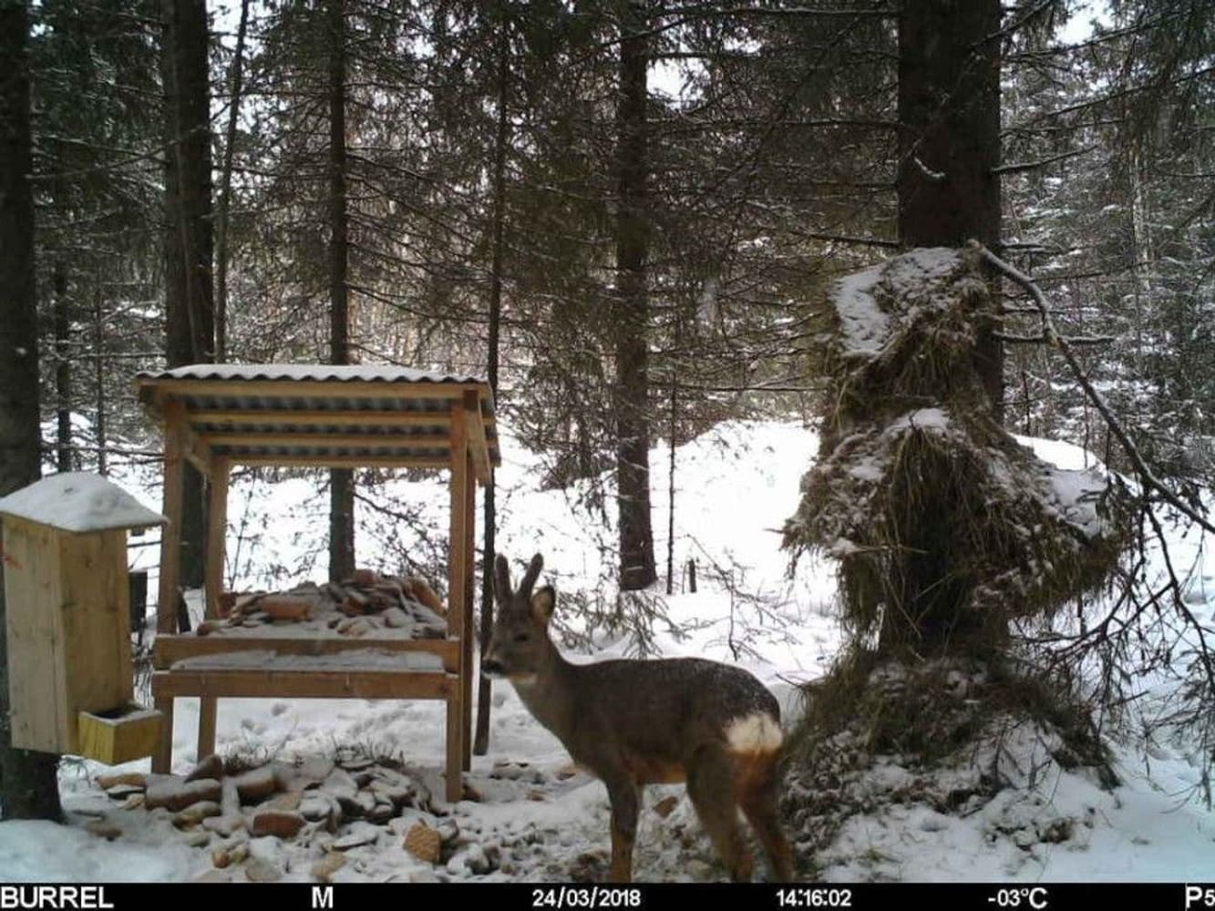 Edge HD -riistakamera, view: 3