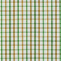 Wood Plain Collar Shirt Green & Haselnut Check - view: 2