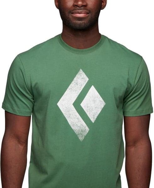 Chalked Up SS Tee luomupuuvillainen t-paita, vihreä, view: 3