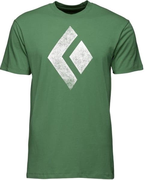 Chalked Up SS Tee luomupuuvillainen t-paita, vihreä, view: 0