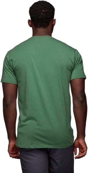 Chalked Up SS Tee luomupuuvillainen t-paita, vihreä, view: 2