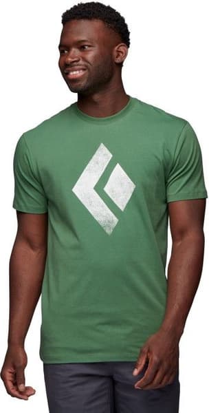 Chalked Up SS Tee luomupuuvillainen t-paita, vihreä, view: 1