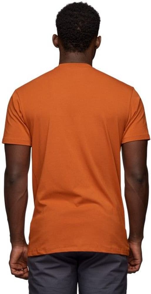 Vantastic Tee luomupuuvillainen t-paita, murrettu oranssi, view: 2