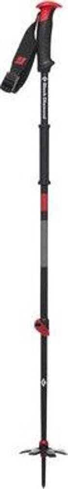 Traverse Ski Poles, view: 1