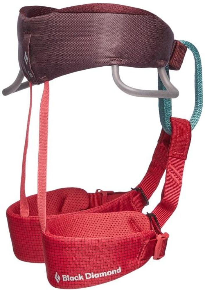 Kids Momentum Harness Wild Rose, view: 1