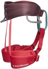 Kids Momentum Harness Wild Rose - view: 1