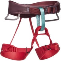 Kids Momentum Harness Wild Rose - view: 0