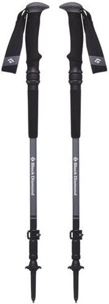 Trail Pro Shock Trek Poles Granite, view: 1