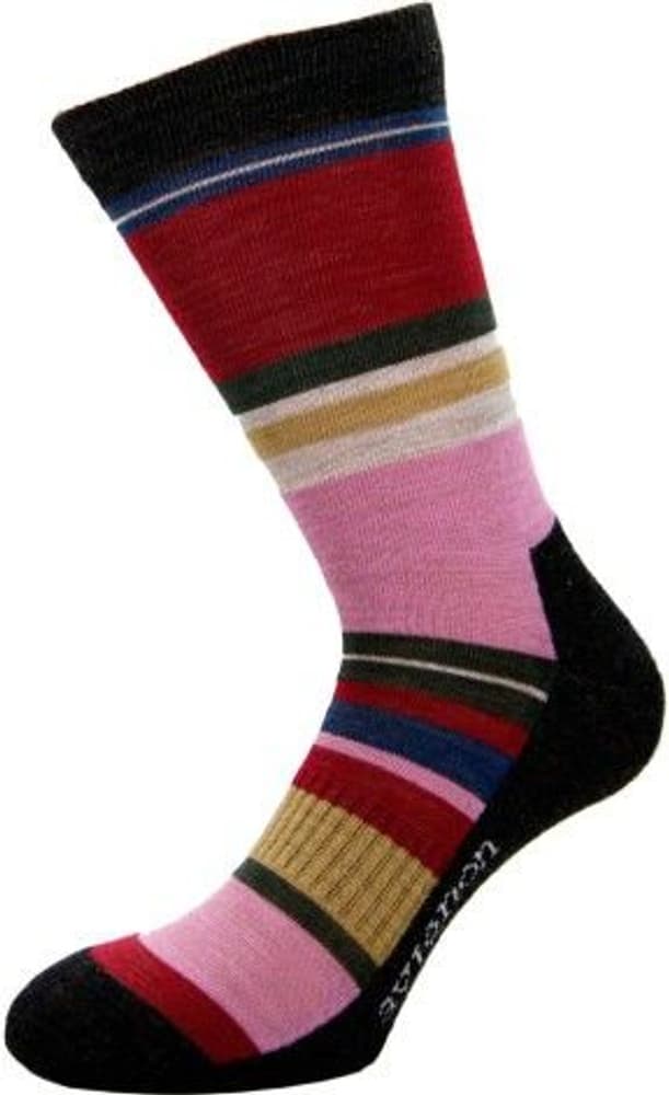 Lady Stripe Pink naisten merinovillasukat, view: 0