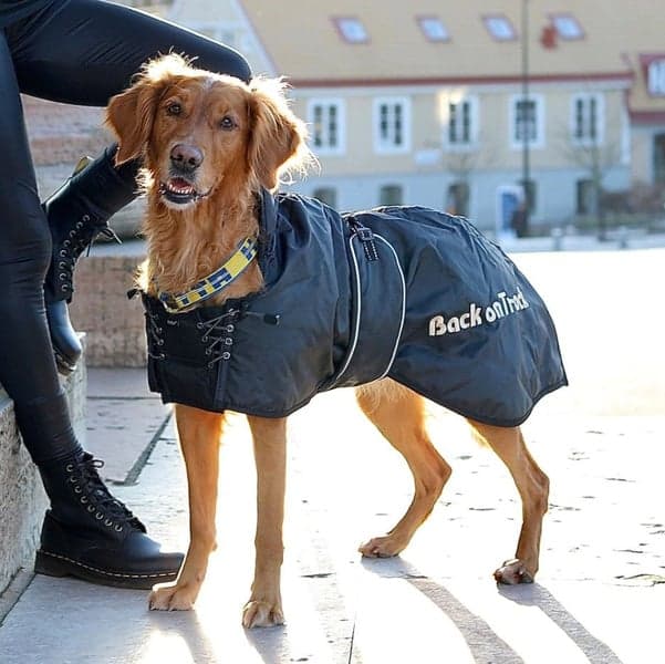 Back on Track koiran toppatakki, musta 43-59 cm, view: 1