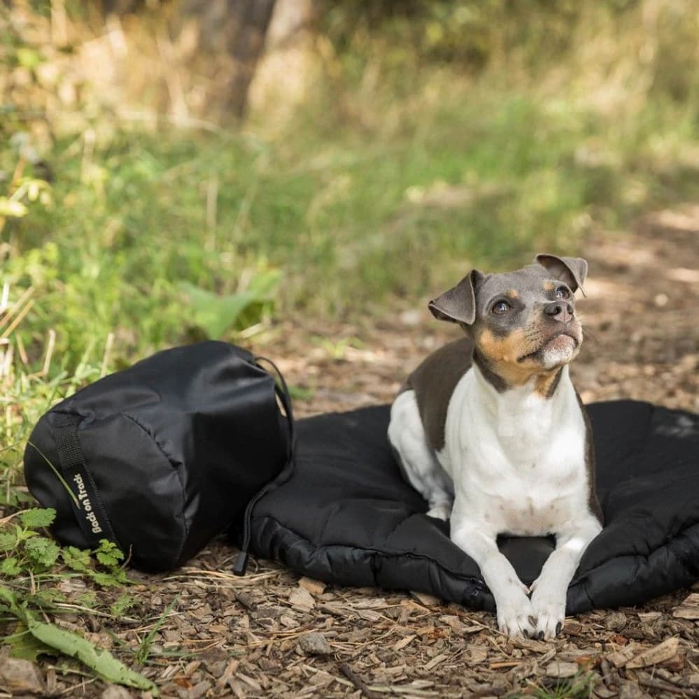 Back on Track ovaali koiran matkapeti, musta 50 x 60 cm, view: 0