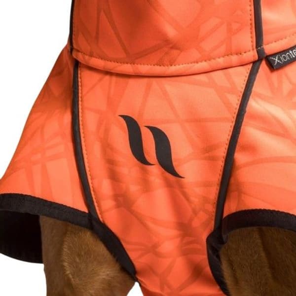Back on Track Bark koiran takki, 25-35 cm, Orange, view: 4