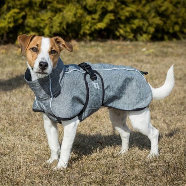 Back on Track Bark koiran takki, 25-35 cm, Grey, view: 3