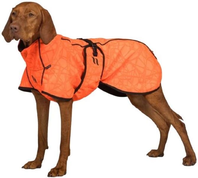 Back on Track Bark koiran takki, 25-35 cm, Orange, view: 3