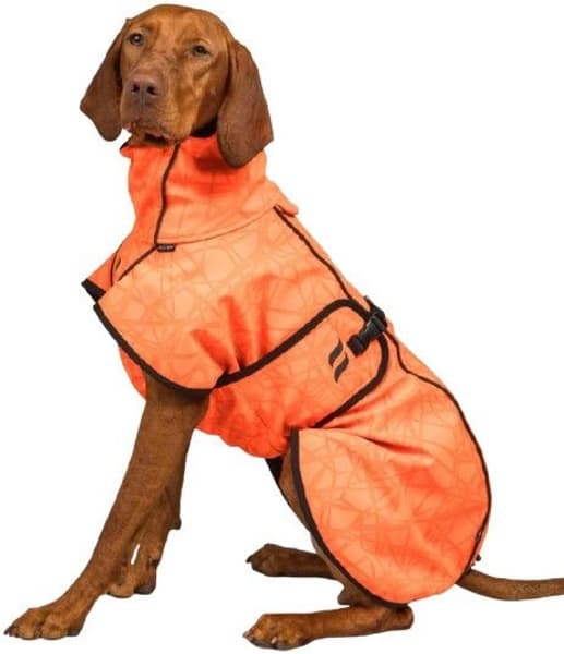 Back on Track Bark koiran takki, 25-35 cm, Orange, view: 1
