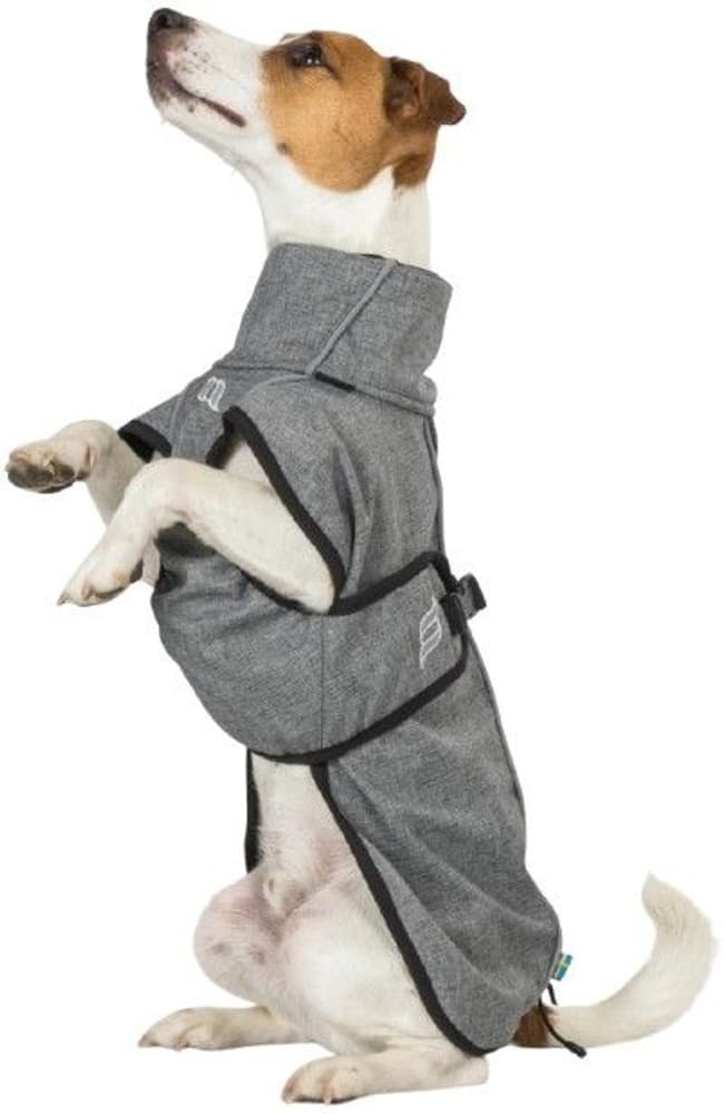 Back on Track Bark koiran takki, 55-65 cm, Grey, view: 1