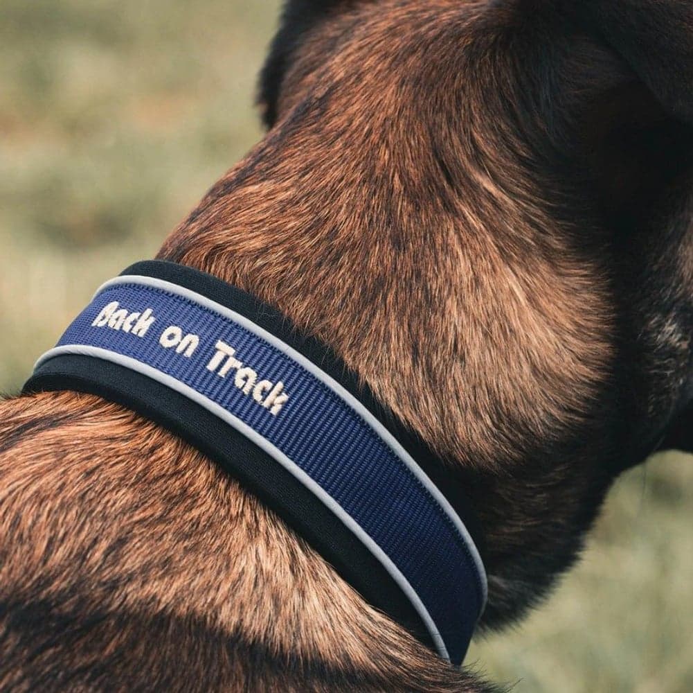 Back on Track Charlie kaulapanta, sininen 30-35 cm, view: 1