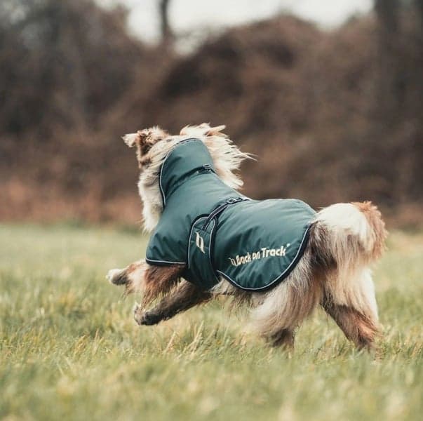 Back on Track Sunny koiran takki, vihreä 40-50 cm, view: 1