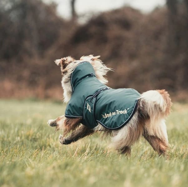 Back on Track Sunny koiran takki, Back on Track Sunny koiran takki, vihreä 55-65 cm, view: 1