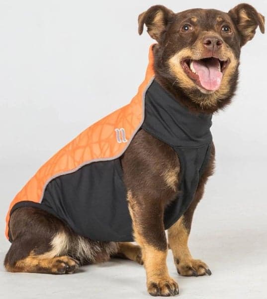 Back on Track Eddie koiran fleecepaita, oranssi 30-35 cm, view: 2