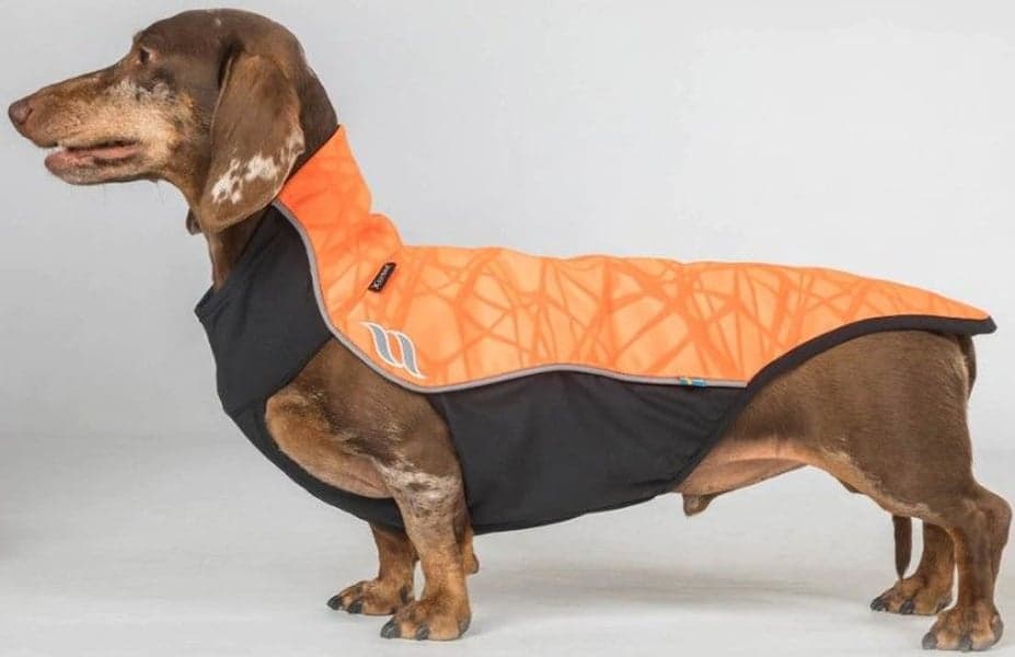 Back on Track Eddie koiran fleecepaita, oranssi 30-35 cm, view: 1