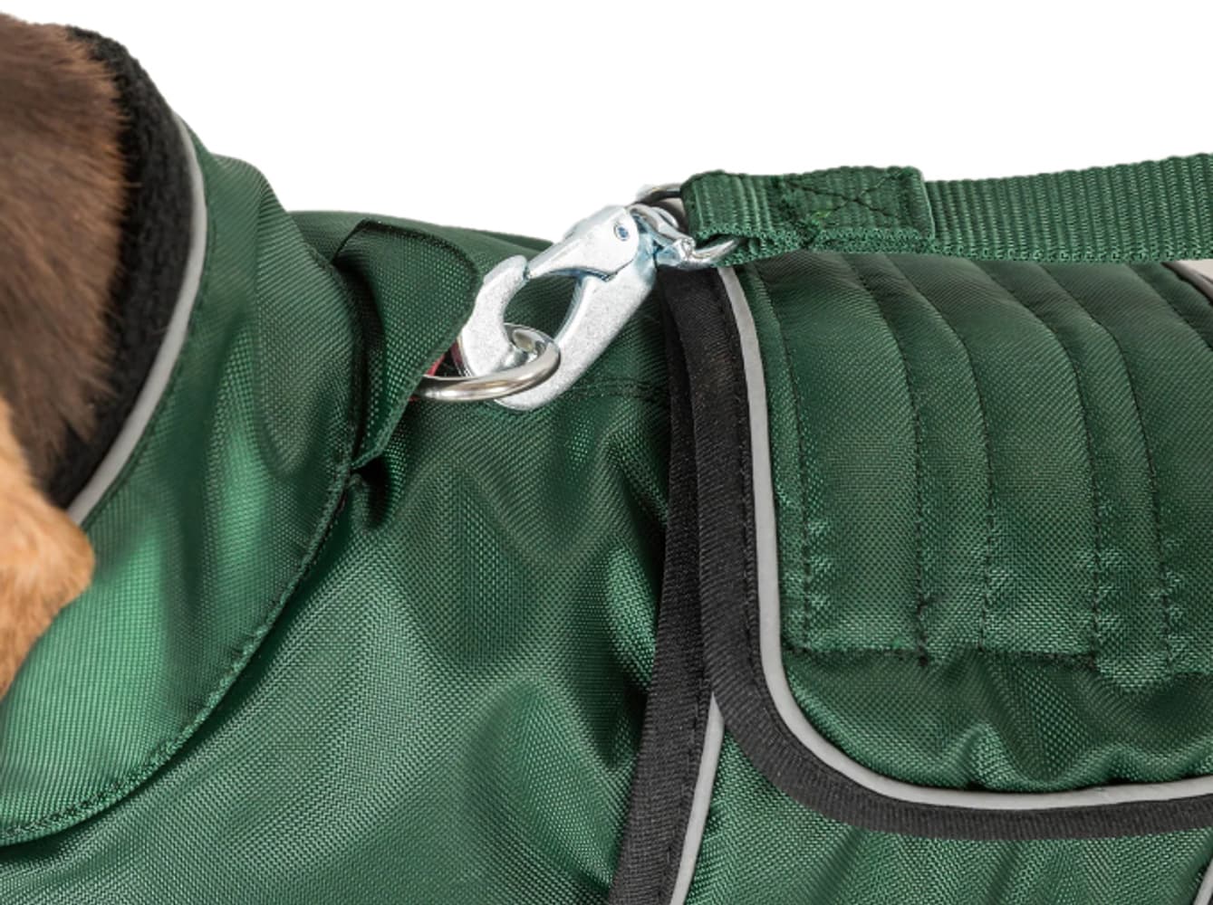 Back on Track Buddy koirantakki pitkäselkäisille ja lyhytjalkaisille roduille, 28 - 44 cm, musta, view: 3