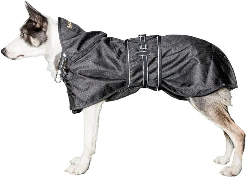 Back on Track koiran jokasääntakki, musta 27-40 cm, view: 2