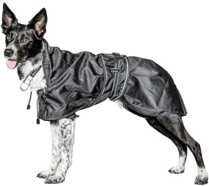 Back on Track koiran jokasääntakki, musta 27-40 cm, view: 1