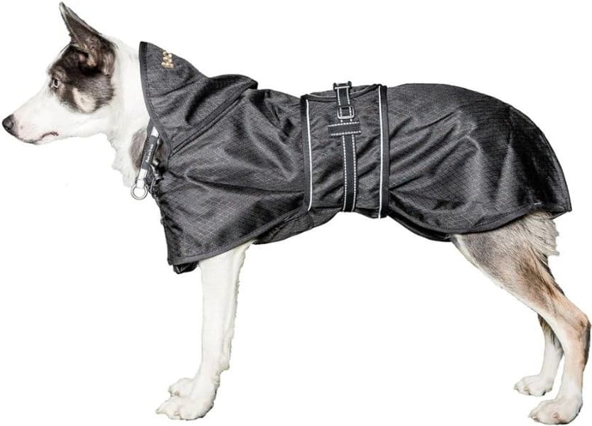 Back on Track koiran jokasääntakki, musta 43-59 cm, view: 2