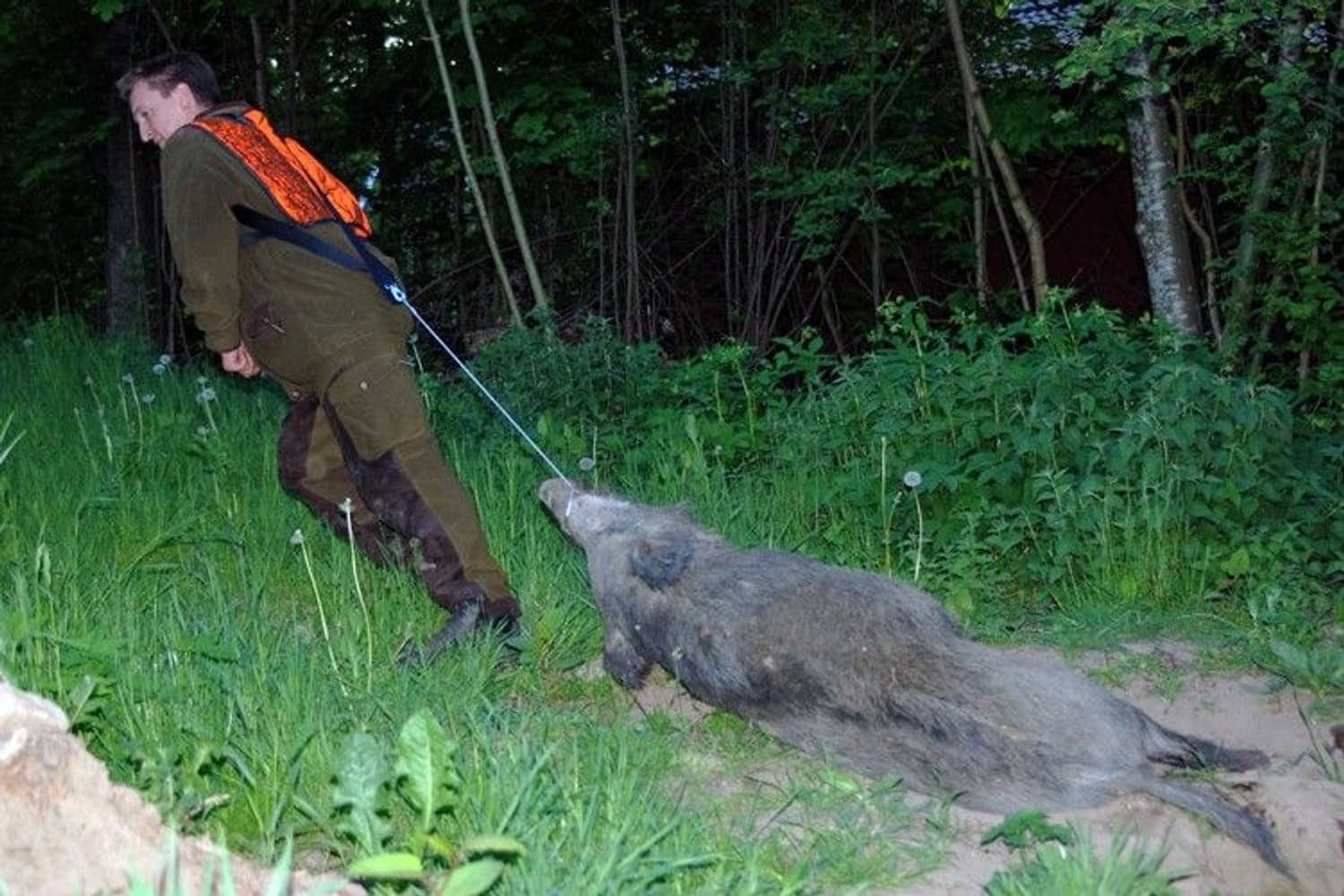 riistavaljaat, view: 4