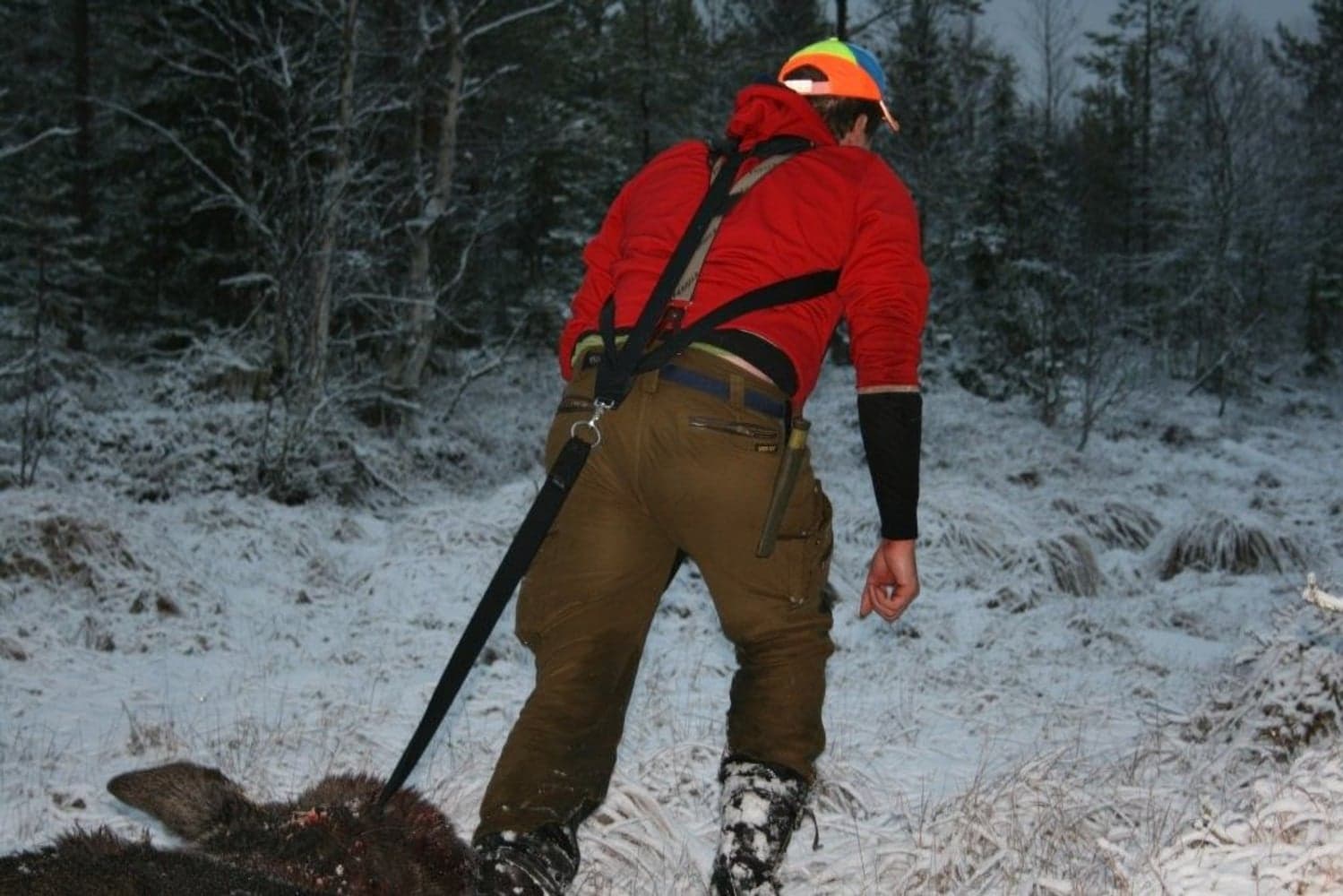 riistavaljaat, view: 2