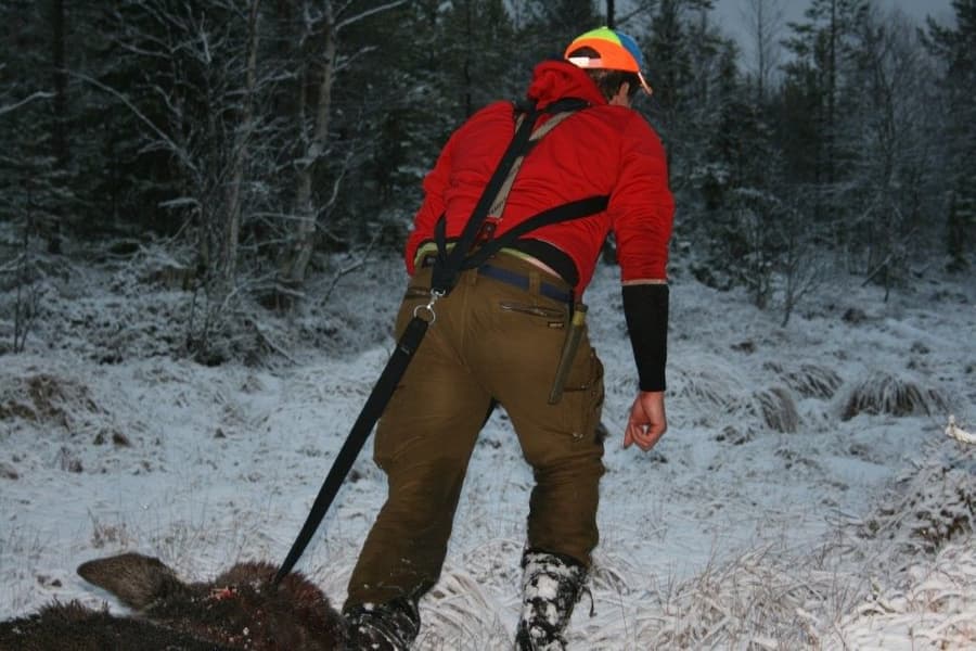 riistavaljaat, view: 2