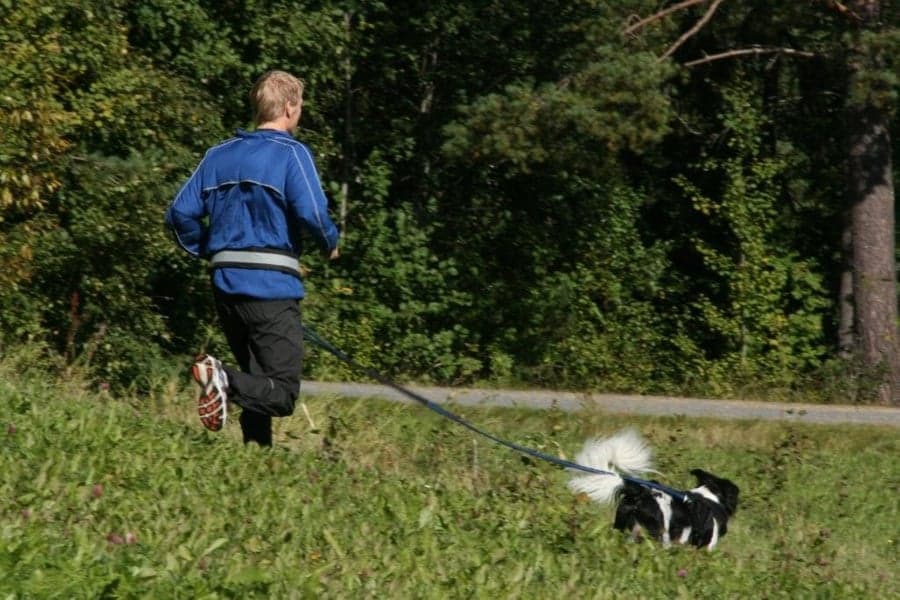 Softbelt Reflex, view: 2