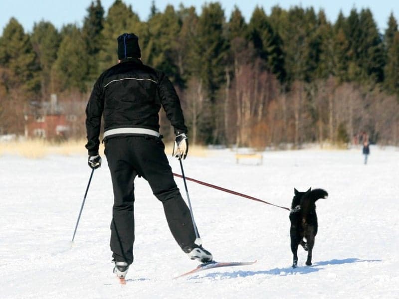 Softbelt Reflex, view: 1