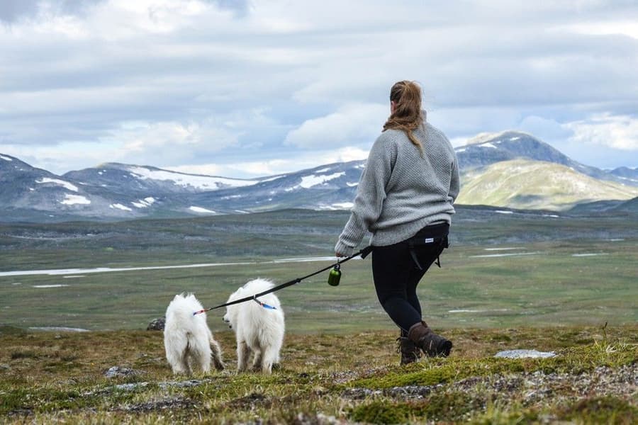 Softbelt Race harmaa, view: 3