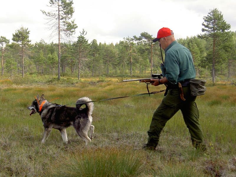 Softbelt Vildmark juoksuvyö, view: 1