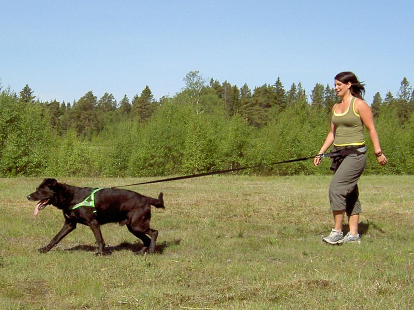 Softbelt Reflex Gul juoksuvyö heijastimella, view: 2