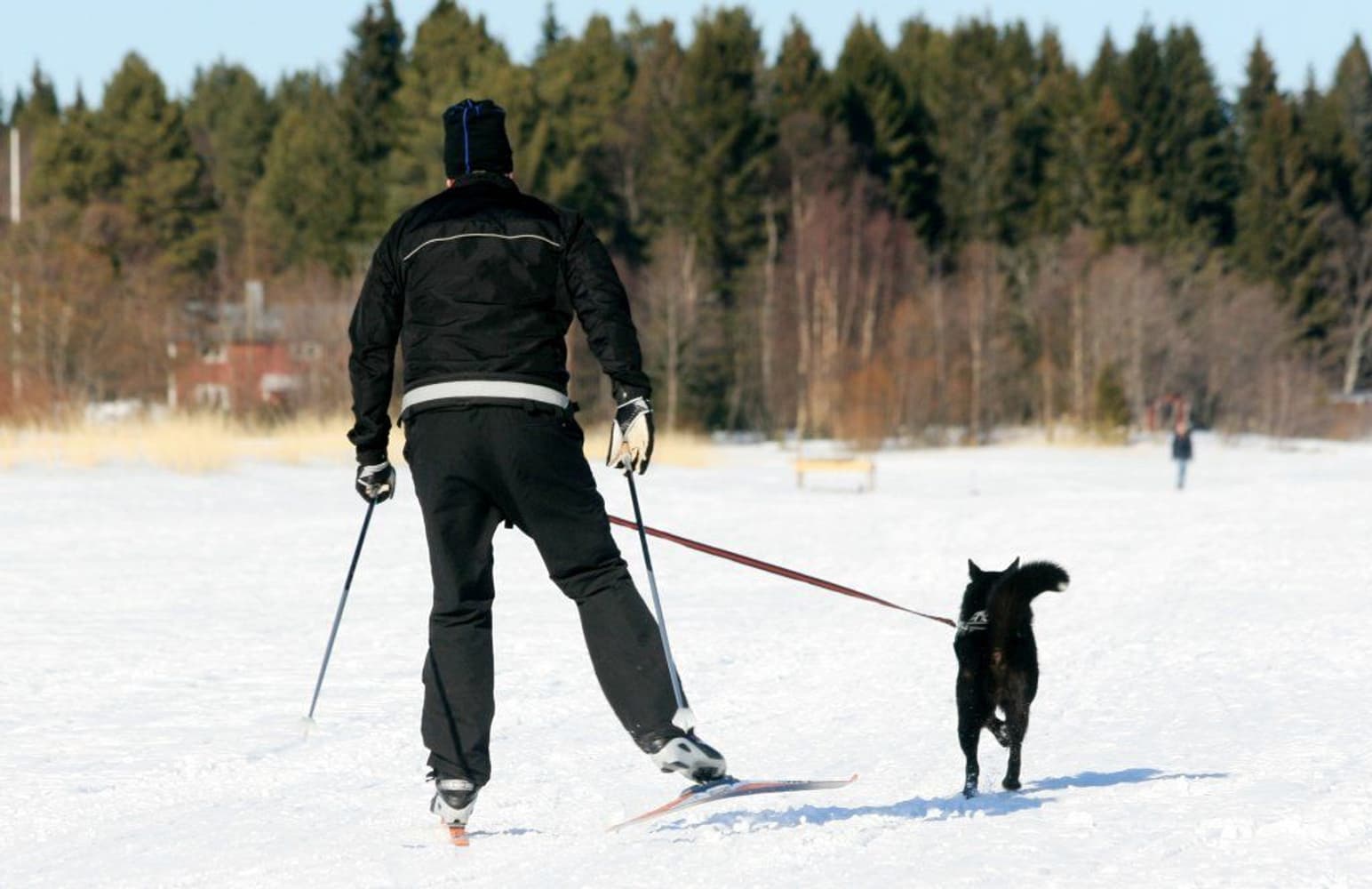 Softbelt Reflex Gul juoksuvyö heijastimella, view: 1