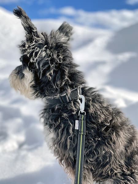 Expanderkoppel BGB joustollinen hihna,1,8m, view: 2