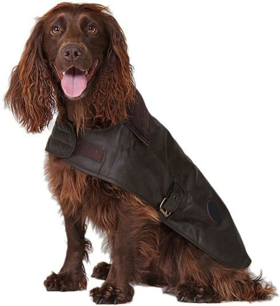 Wax Dog Coat Olive, view: 5