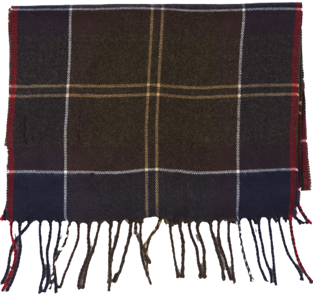 Galingale Tartan Scarf Classic huivi, view: 2