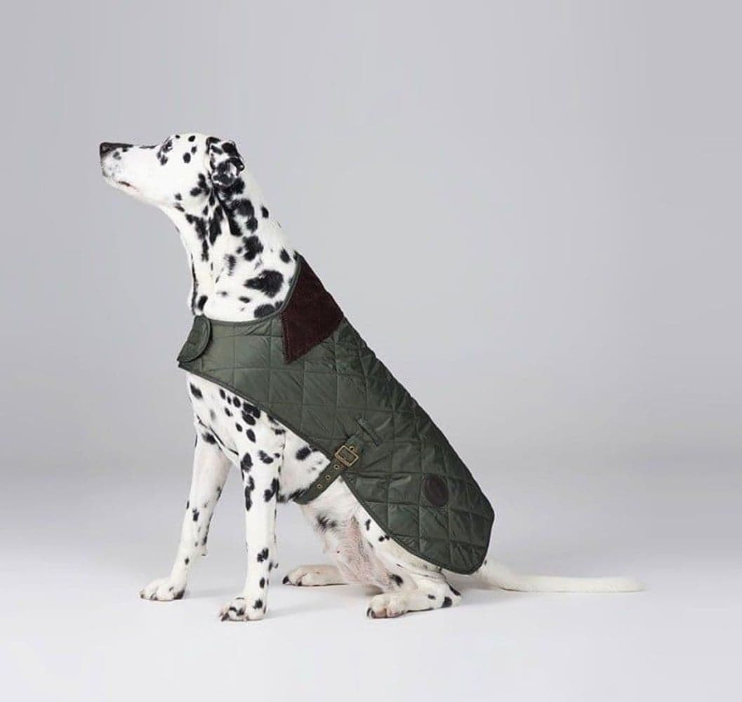 Quilted Dog Coat koiran takki, vihreä, view: 5
