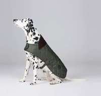 Quilted Dog Coat koiran takki, vihreä - view: 5